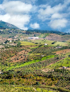 Kanarya adasındaki La Orotava vadisinden Teide volkanı manzarası