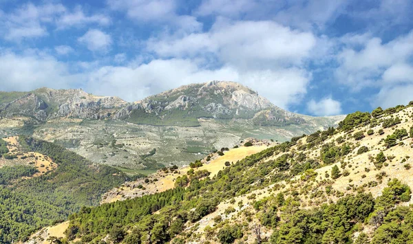 Montañas Sierra Cazorla Andalucía Día Soleado Sur España — Foto de Stock