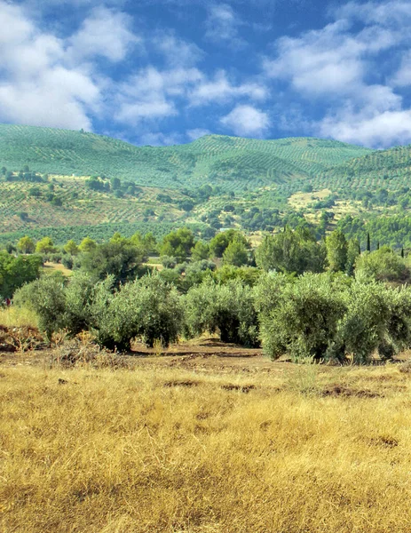Bergen Van Sierra Cazorla Andalusië Een Zonnige Dag Het Zuiden — Stockfoto