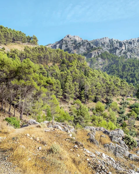 Berge Der Sierra Cazorla Andalusien Einem Sonnigen Tag Süden Spaniens — Stockfoto