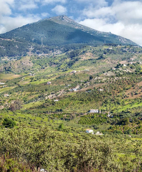 カナリア諸島のLa Orotava谷からのTeide火山の眺め — ストック写真