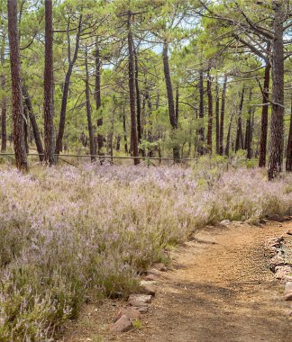 Güneşli bir günde Teruel 'de Albarakin Dağları. İspanya 'nın merkezinde yer almaktadır..