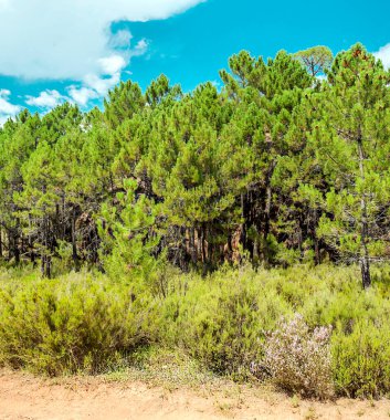 Güneşli bir günde Teruel 'de Albarakin Dağları. İspanya 'nın merkezinde yer almaktadır..