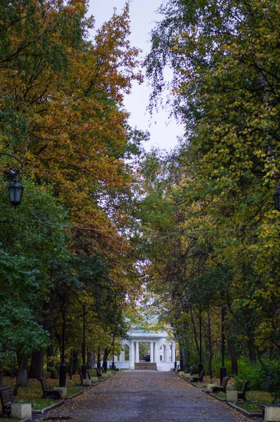 Terk edilmiş şehir parkı, karantina.