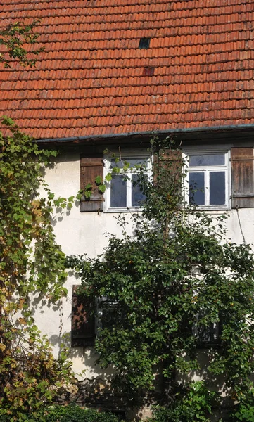 Detal starego domu z przerośniętą fasadą — Zdjęcie stockowe
