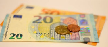 Avro paraları kağıt banknotların üzerinde yatıyor