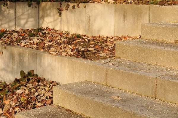 乾燥した落ち葉がコンクリートの階段に横たわっています — ストック写真