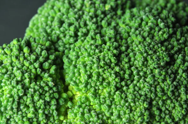 Blütenkopf eines rohen Brokkoli mit grünen Röschen — Stockfoto