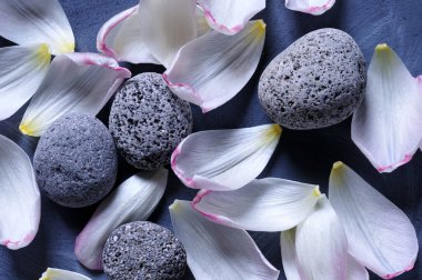 Gri çakıl taşlarıyla birlikte uzanan taze lale yapraklarının yakın çekimi.