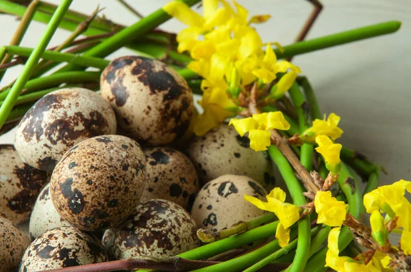 Gefleckte Wachteleier Einem Nest Aus Zweigen Das Als Osterdekoration Mit — Stockfoto