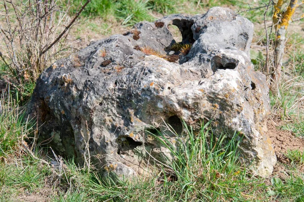 Rocha Calcário Jurássico Deitado Prado Alb Swabian Sul Alemanha — Fotografia de Stock