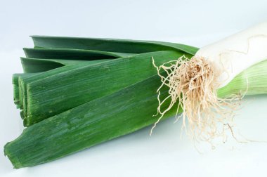 Beyaz arkaplanda izole edilmiş kökleri ve beyaz sapı olan pırasa