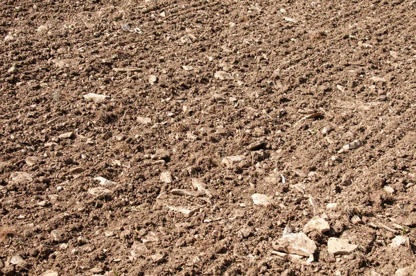 Campo Agrícola Primavera Alba Swabian Con Líneas Siembra Montón Rocas — Foto de Stock