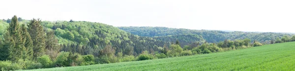 Panorama Údolí Švábské Albě Poblíž Ulmu Zalesněnými Kopci Zeleným Obilným — Stock fotografie