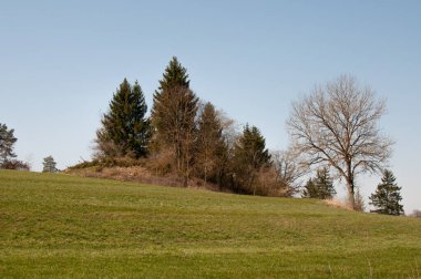 Kozalaklı ve yapraksız yaprak döken ağaçlarla dolu tepe manzarası. Baharın başlarında, Swabian alblerinde.