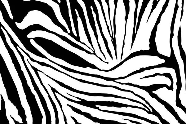 Zebra Stripes Path Vector — стоковый вектор