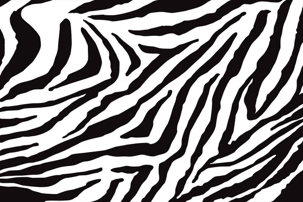 Zebra Pattern Vector — Stock Vector