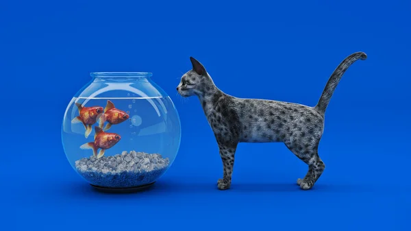 Gato y pescado. renderizado 3d —  Fotos de Stock