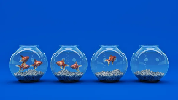 Peixe-dourado no aquário. Renderização 3d — Fotografia de Stock