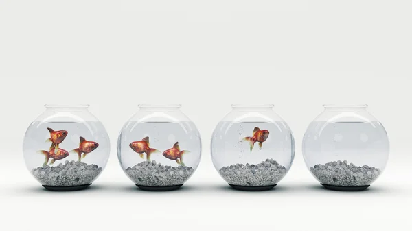 Goldfish akvaryum. 3D render — Stok fotoğraf