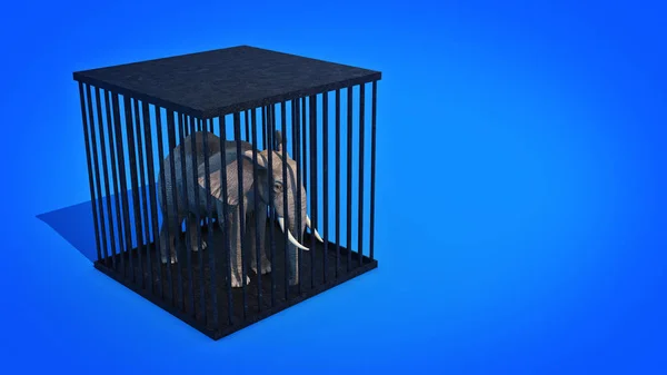 Elefánt a ketrecben. 3D-leképezés — Stock Fotó