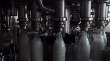 Süt üretim hattı. Süt fabrikasında otomatikleştirilmiş üretim hattı. Süt, süt fabrikasında plastik şişeye dökülüyor.