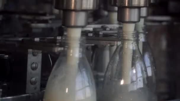 Melkproductielijn. Automatische productielijn in de melkfabriek. Melk die in een plastic fles in een zuivelfabriek wordt gegoten — Stockvideo