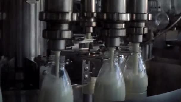 Milk production line. Automated production line at milk factory. Milk pouring into plastic bottle at dairy plant — Stock Video