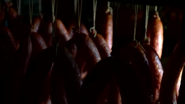 Production of sausages in the meat industry. Smoked sausage in the oven. — ストック動画