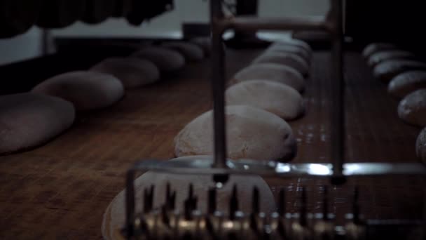 Pain pains bande transporteuse à l'usine de production alimentaire. Ligne de production de pain. Boulangerie production alimentaire avec des produits frais . — Video