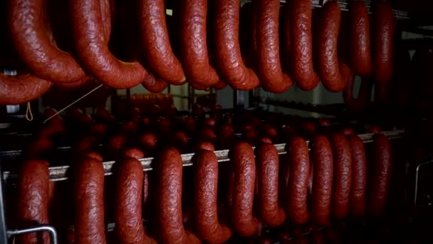Παραγωγή λουκάνικων στη βιομηχανία κρέατος. Καπνιστό λουκάνικο στο φούρνο. — Αρχείο Βίντεο
