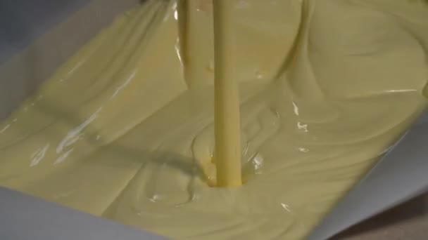 Виробництво масла на молочному заводі . — стокове відео