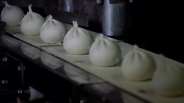 Bir Köfte Fabrikasında Otomatik Makine Üretim Süreci. Taze Ham Pelmeni Konveyör Bant Üzerine Güz. Gıda Fabrikasında Endüstriyel Makine İşletilmesi.