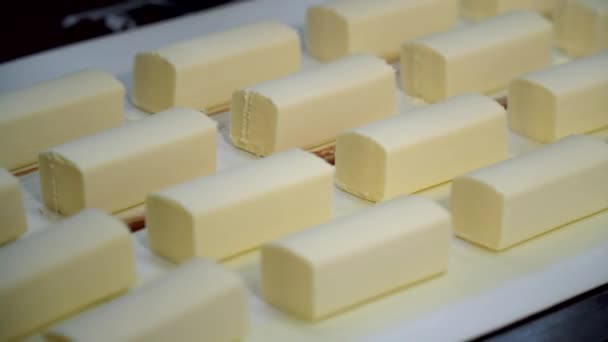 Glazed Sweet Curd çikolataları ve Wafer konilerinin üretimi. Süt ürünleri — Stok video