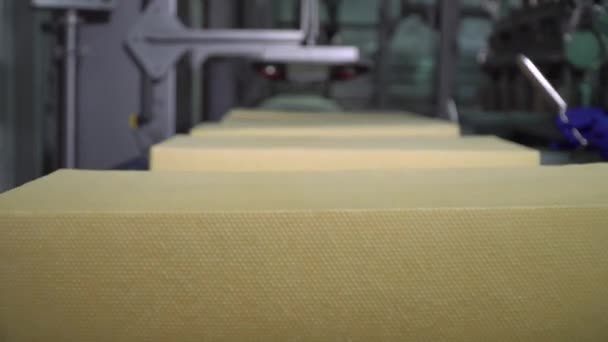 Produzione di formaggio fabbrica nastro trasportatore Tecnologia di produzione di formaggio. Linea di trasporto per processo di confezionamento formaggi . — Video Stock