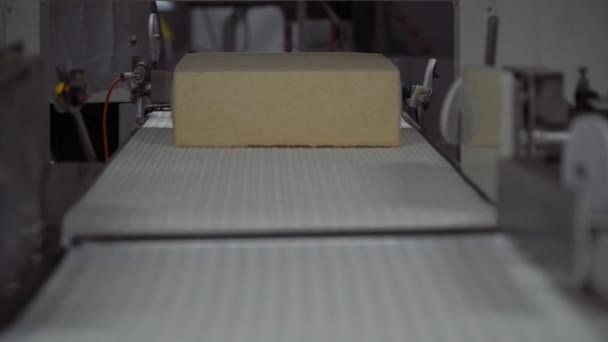 Produzione di formaggio fabbrica nastro trasportatore Tecnologia di produzione di formaggio. Linea di trasporto per processo di confezionamento formaggi . — Video Stock
