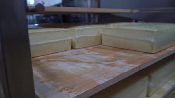 在奶酪工厂里，一个奶酪制造者检查奶酪的调料 — 图库视频影像
