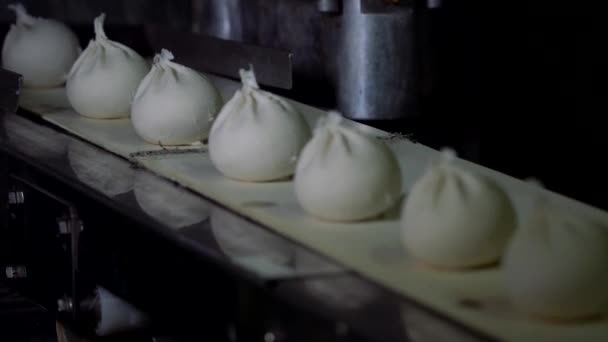 Automatické zpracování strojů při výrobě Dumpling. Čerstvý syrový pelmeni padá na dopravní pás. Průmyslová strojní zařízení působící v potravinářském závodě. — Stock video