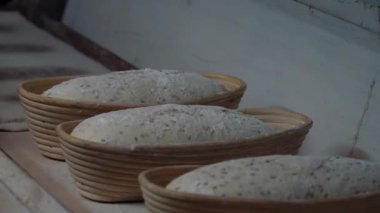 Somun ekmek pişirme sektöründe üretim satırındaki. Bir somun ekmek fırında yapmak. Ekmek Fabrikası üretim. Ekmek fabrikası konveyör. Otomatik üretim ekmek. Ekmek sanayi.