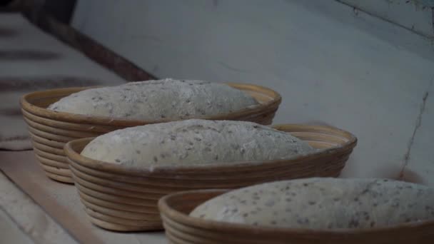 Laib Brot am Fließband in der Backindustrie. Brotlaib backen in der Backstube. Brotfabrikproduktion. Bäckereifachverkäuferin. automatisierte Brotproduktion. Bäckereibranche. — Stockvideo