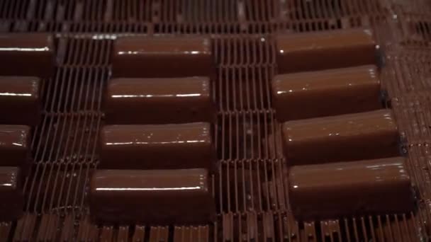 Glazed Sweet Curd çikolataları ve Wafer konilerinin üretimi. Süt ürünleri — Stok video