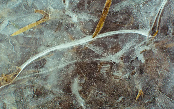 草の刃で割れた氷の質感 — ストック写真