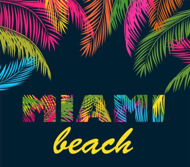 Renkli palmiye yaprakları ve miami beach yazı arka plan