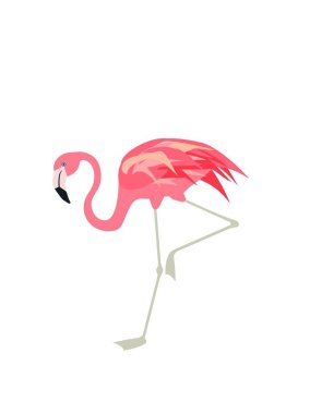 Vektör çizim ile şirin pembe flamingo. Kağıt düz çizmek ile egzotik kuş