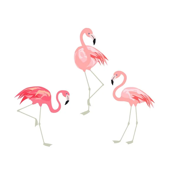 Vektorillustration med rolig rosa flamingo. Papper platt design med exotiska fåglar — Stock vektor