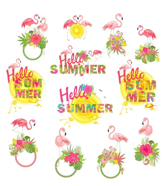 Dekoratif çerçeveler ve Merhaba yaz tropik çiçekler ve pembe flamingo ile yazı kümesi