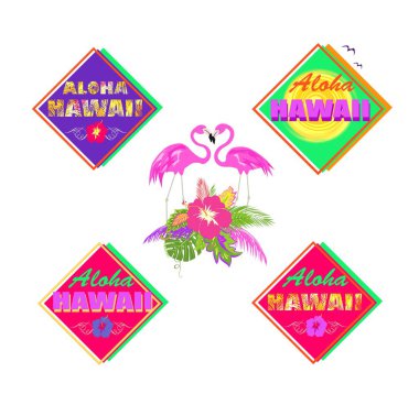 Aloha Hawaii harfleri, bir çift güzel pembe flamingo, palmiye yaprağı, amber çiçeği ve güneş tişörtü, etiket, çanta..