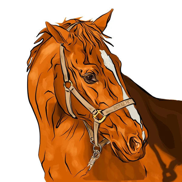 Retrato Cavalo Vermelho Desenhado Colorido Computador Uma Imagem Isolada Fundo — Fotografia de Stock