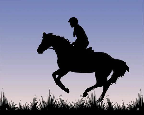 一个骑着马在彩色背景上飞驰的骑手的孤立的现实的黑色轮廓 — 图库照片