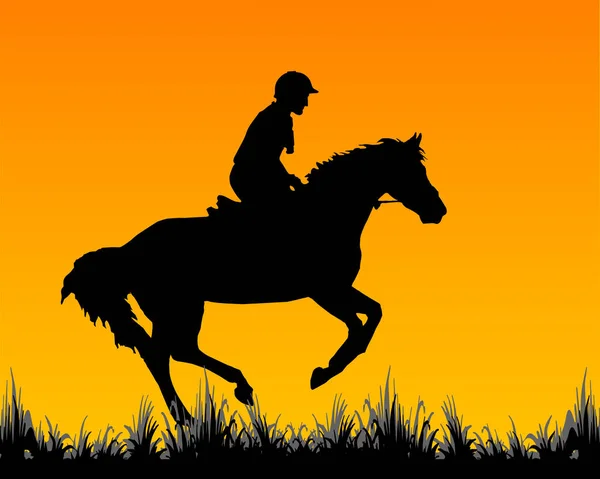 体育姑娘骑着马在田里 在草地上 孤零零的形象 蓝色背景上的黑色轮廓 映衬着清晨的天空 — 图库照片